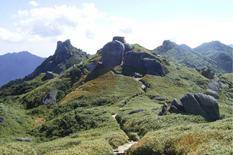 屋久島の奇岩群
